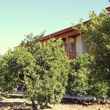 호텔 케르메 오토만 고코바